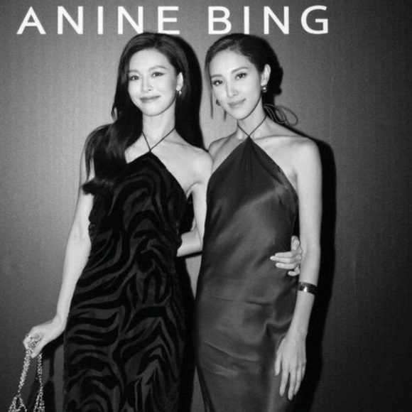 Anine Bing Leanne black maxi dress zebra burnout velvet texture size L NWT - Picture 3 of 11